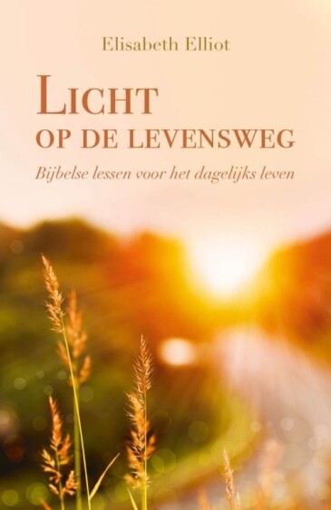 Licht op de levensweg.jpg