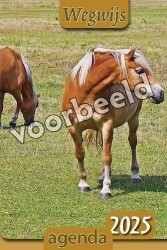wegwijs-agenda-2025.jpg