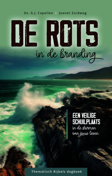 rots-in-de-branding.jpg